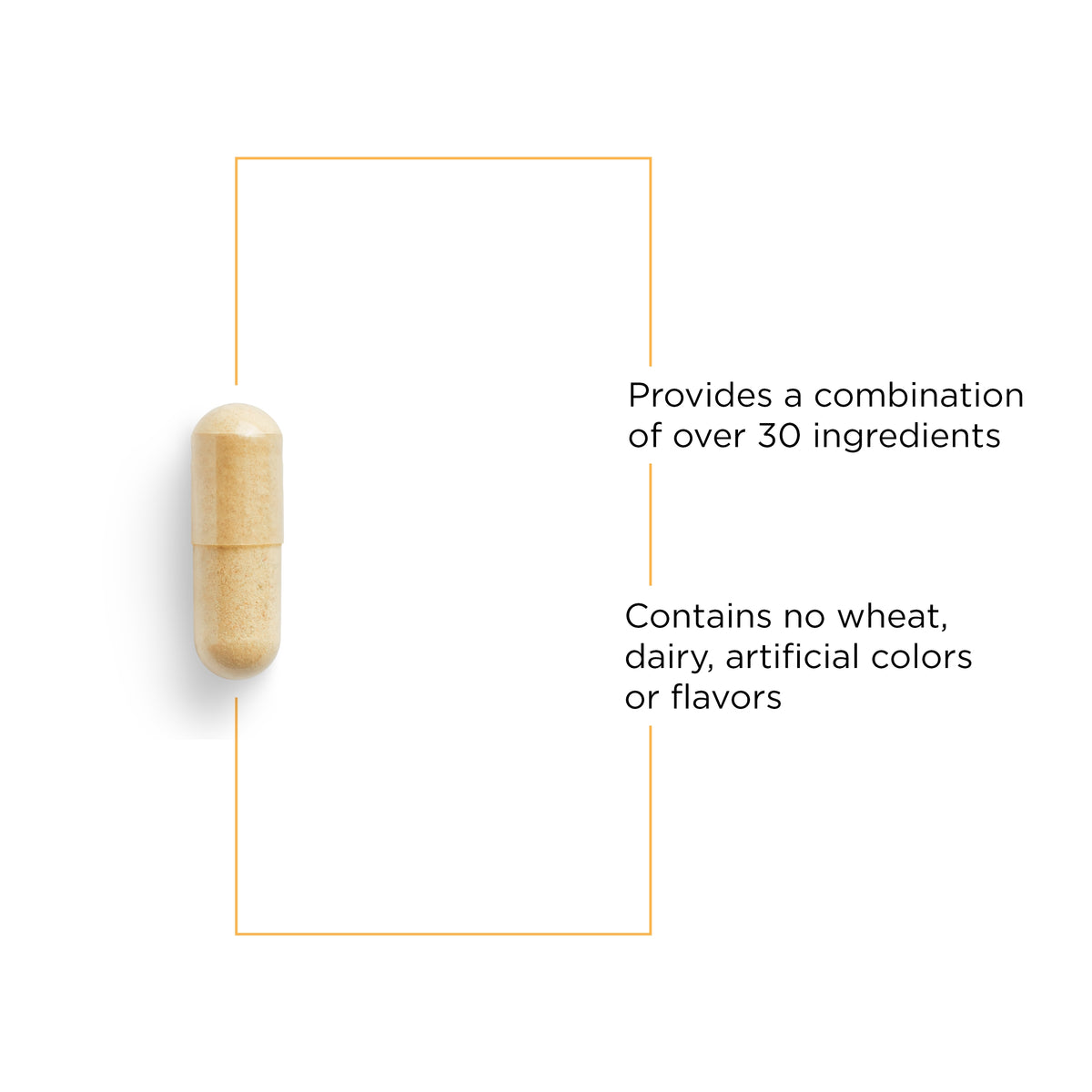 <{%MAIN3_146003%}>Nature's Way® | Detoxication Factors - product benefits image
