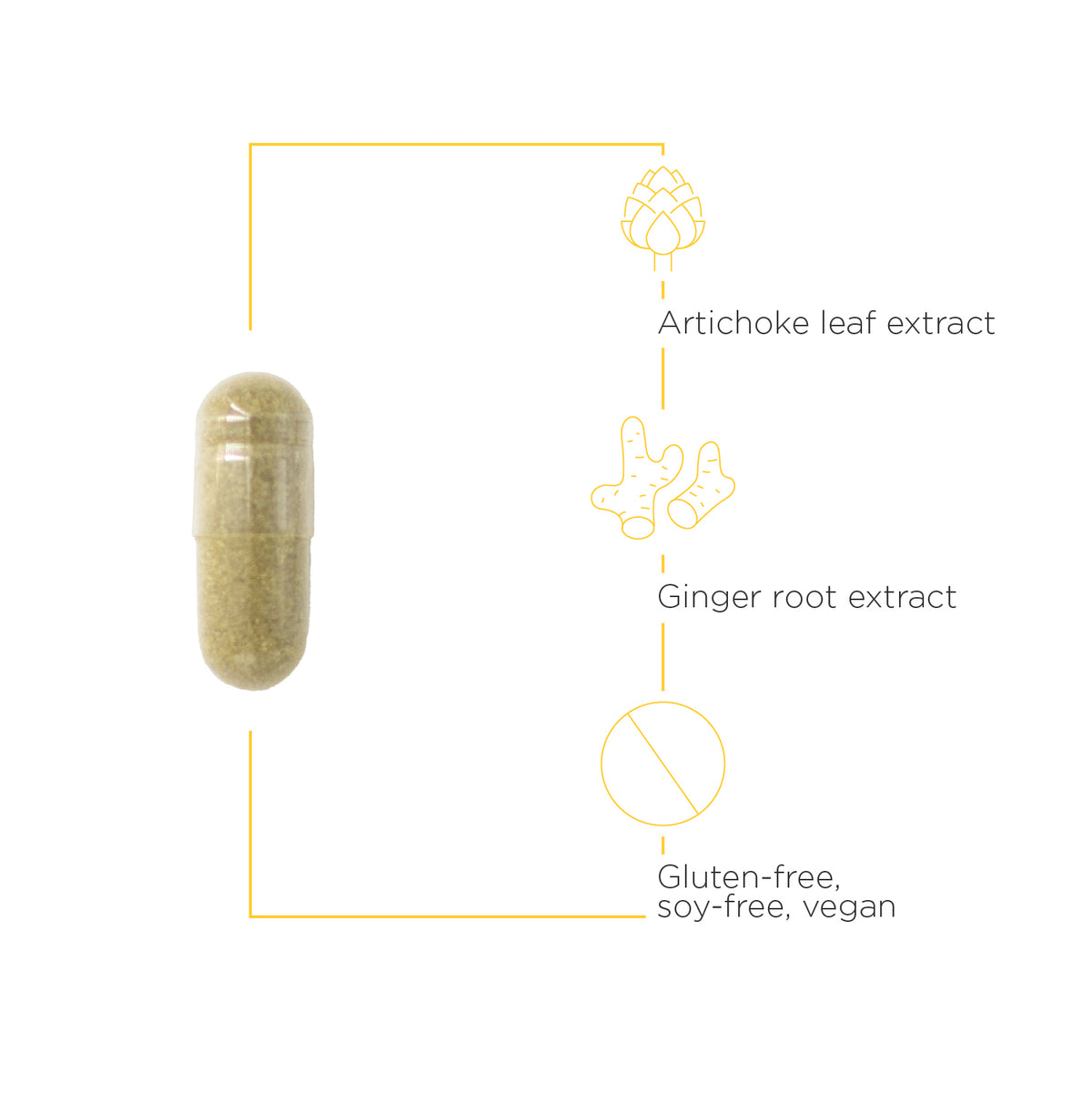 <{%MAIN3_12239%}>Nature's Way® | Motility Activator - product benefits image