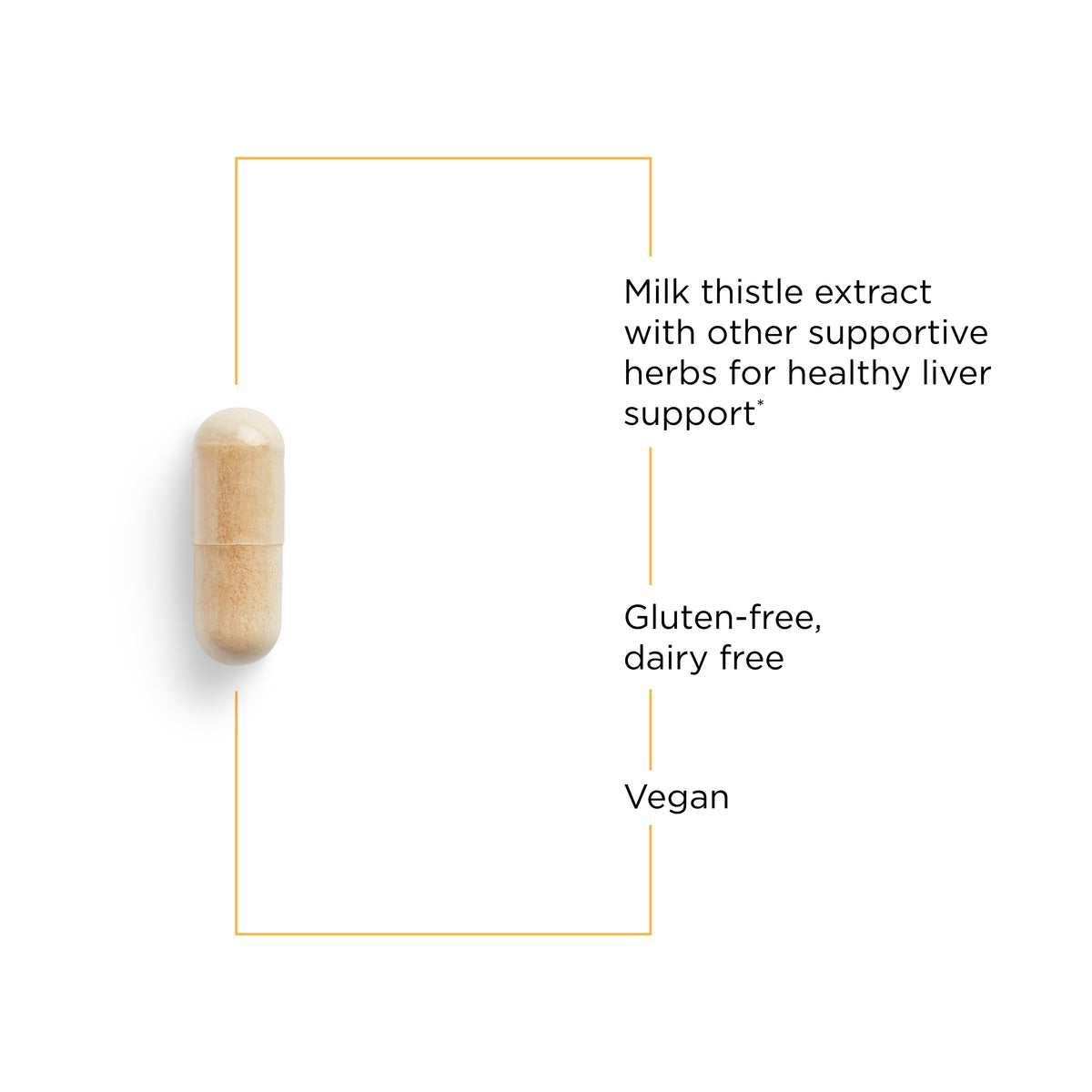 <{%MAIN6_78102%}>Nature's Way® | Super Milk Thistle X - product benefits image