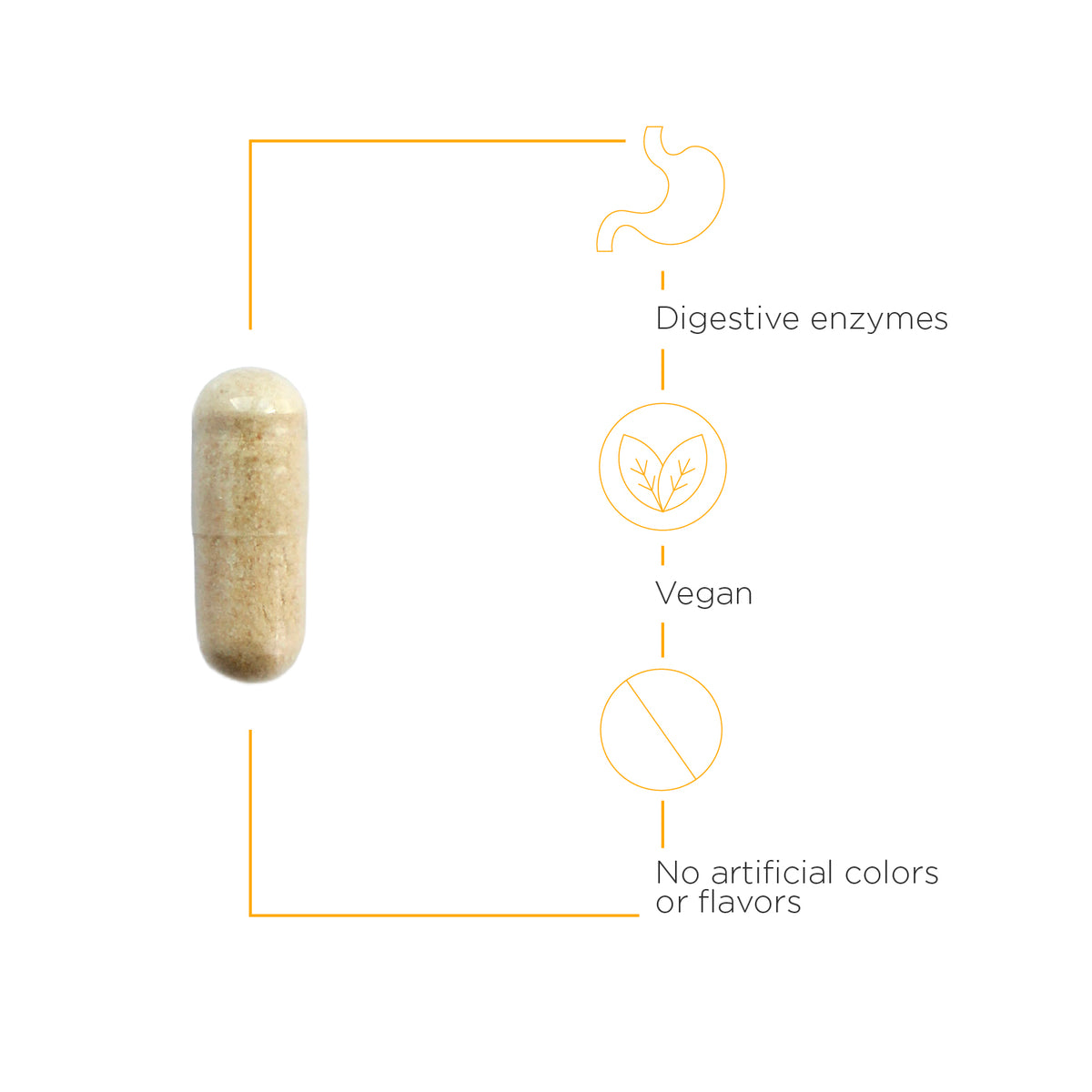 <{%MAIN6_74239%}>Nature's Way® | Similase - product benefits image