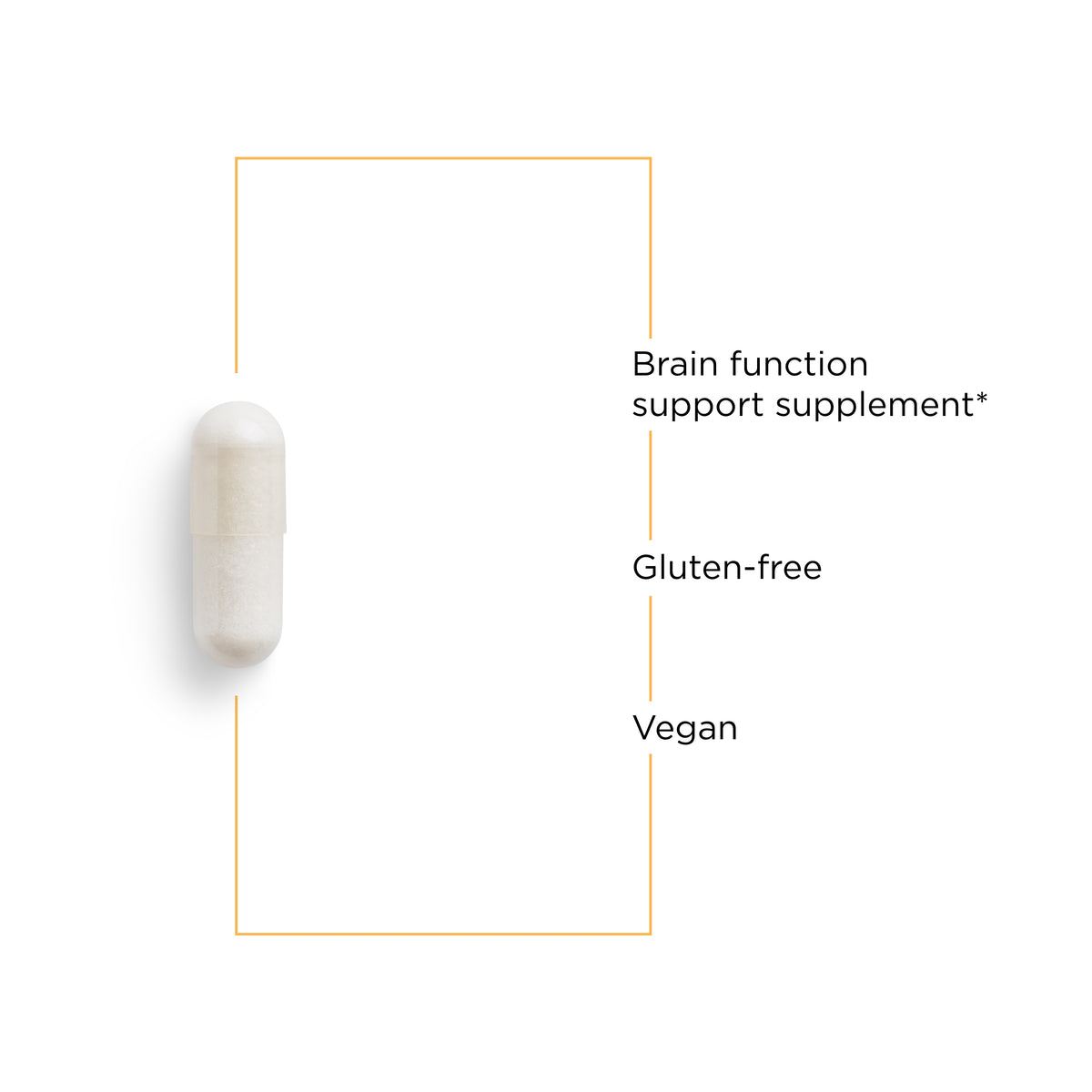 <{%MAIN3_76606%}>Nature's Way® | Acetyl L-Carnitine - product benefits image