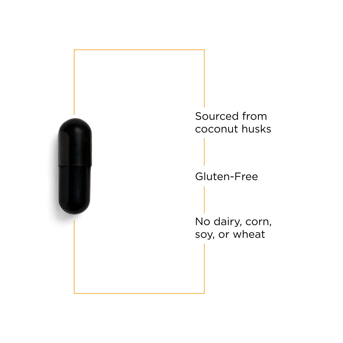 <{%MAIN3_70656%}>Nature's Way® | Activated Charcoal - product benefits image